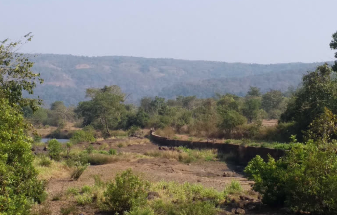 सांबरकुंड धरण प्रकल्प ; २६३ हेक्टर वनजमिन जलसंपदा विभागाकडे हस्तांतरीत