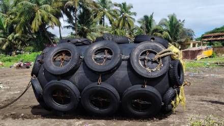 जीवनाबंदर परिसरात बोया